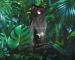 Pavallaro Kopi Luwak 100g z dzikiego zbioru + Myanmar Shwe Ywar Ngan 125g - ZESTAW KAW ZIARNISTYCH NA PREZENT