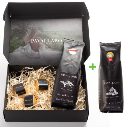 Pavallaro Kopi Luwak 100g z dzikiego zbioru + Myanmar Shwe Ywar Ngan 125g - ZESTAW KAW ZIARNISTYCH NA PREZENT