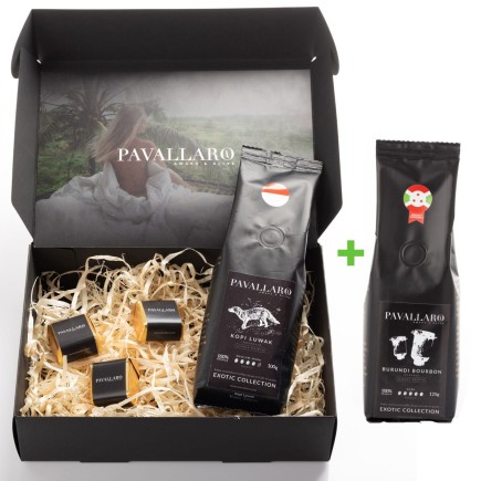 Pavallaro Kopi Luwak 100g z dzikiego zbioru + Burundi Bourbon 125g - ZESTAW KAW ZIARNISTYCH NA PREZENT