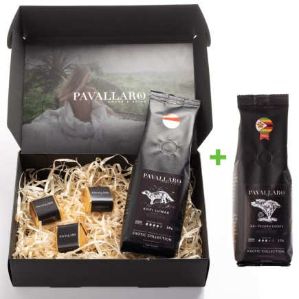 kopi luwak + zimbabwe.jpg