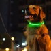 Obroża LED dla psa, obwód szyi 35cm - zielona
