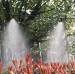 Kurtyna wodna zestaw do nawadniania roślin- 20 m 20 dysz