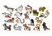 Drewniane Puzzle z figurkami - Kotki w Wenecji rozm. S, 75 elementów