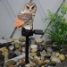 Ozdobna lampa solarna LED do ogrodu Sowa - brązowa