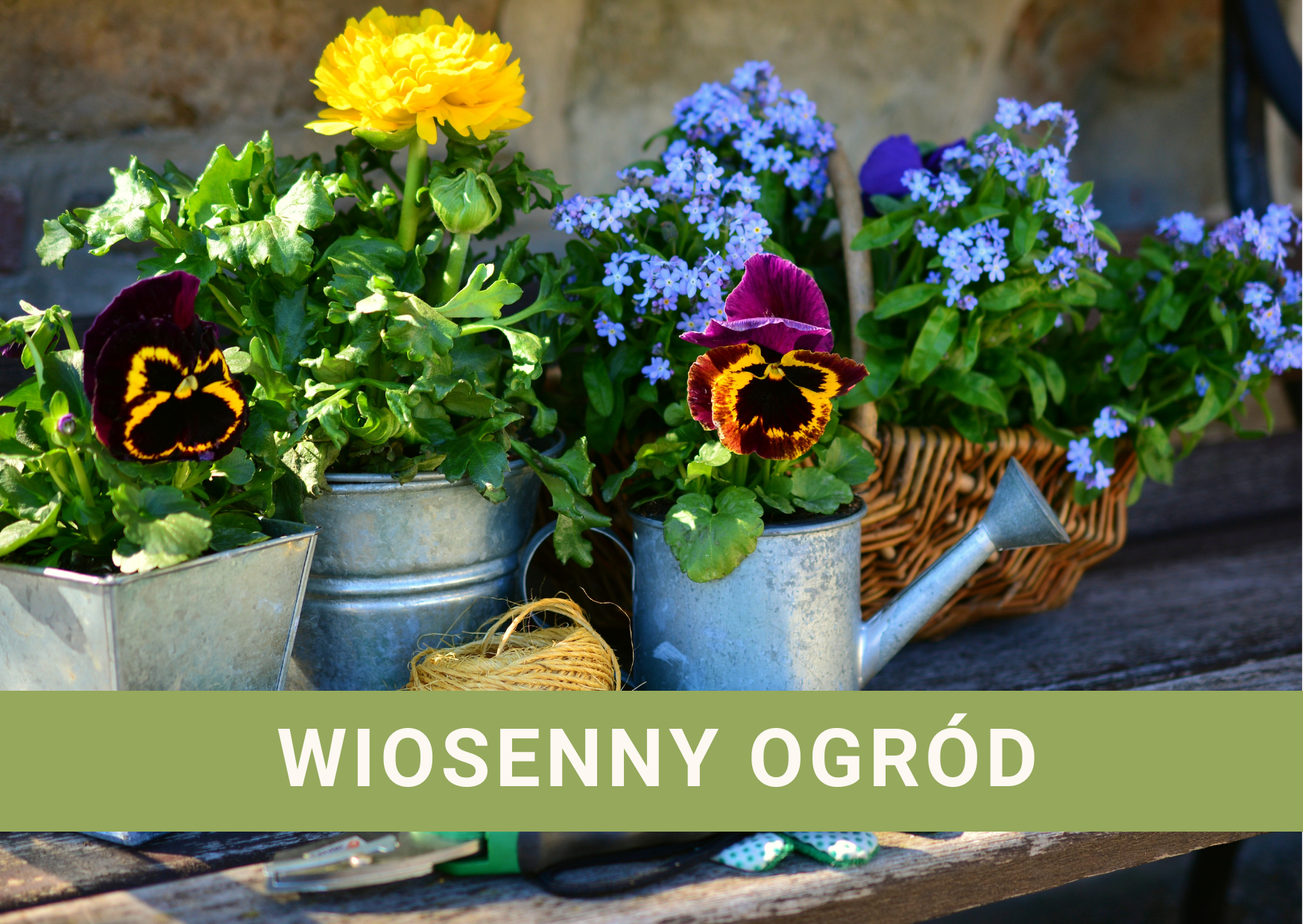 Wiosna w Twoim ogrodzie!